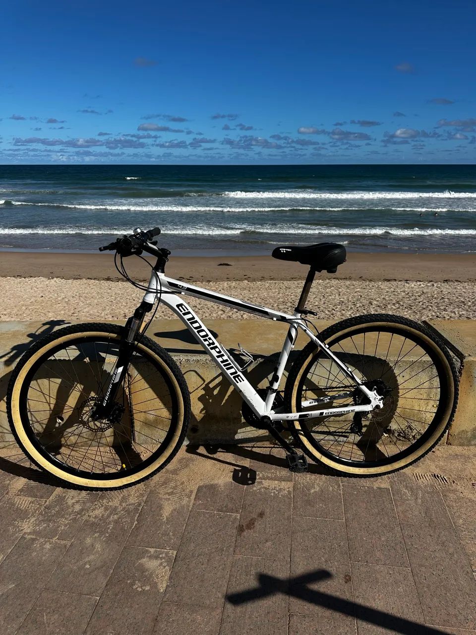 Bicicleta aro 29