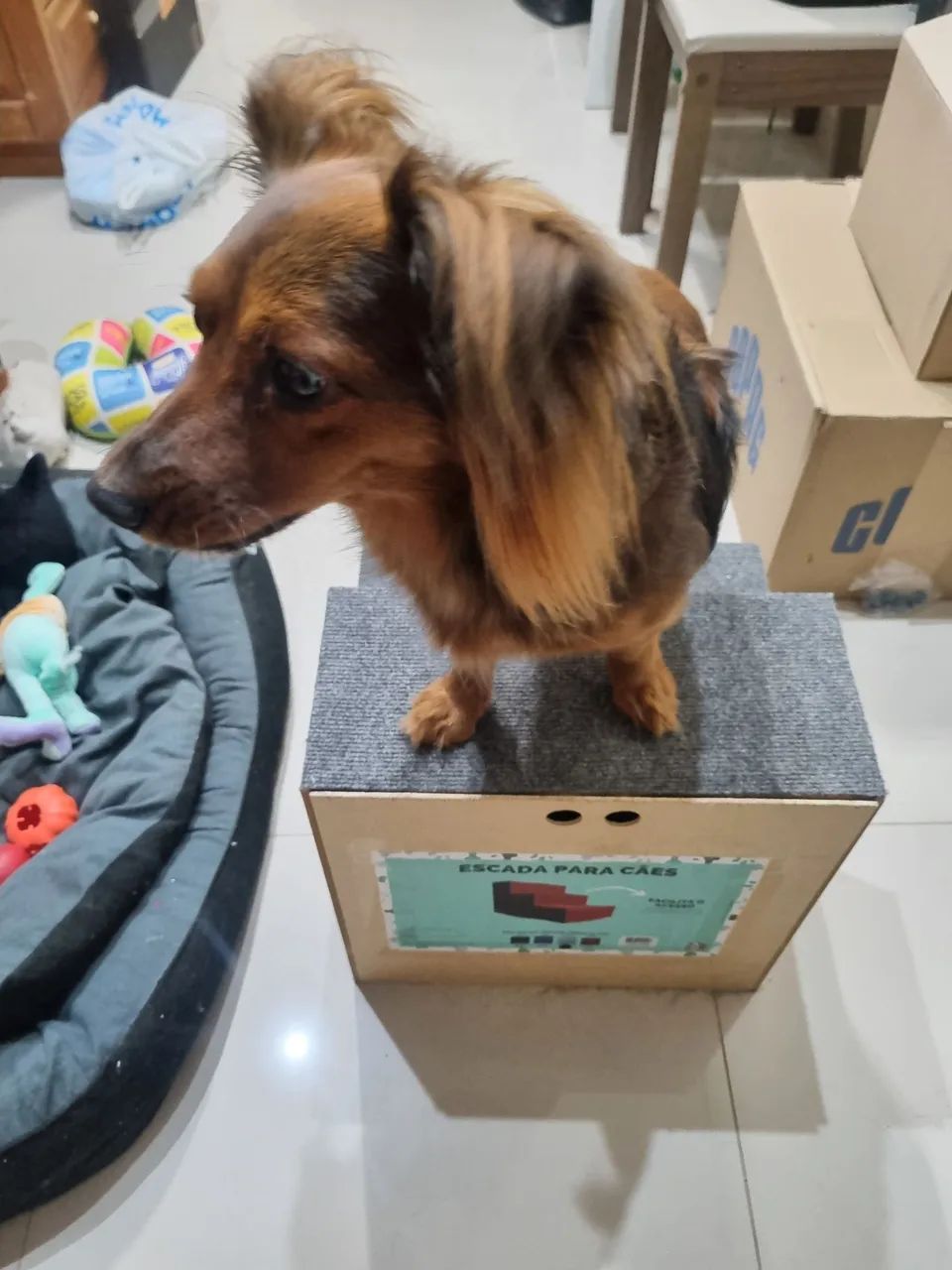 Escada para cachorro - Foto 3