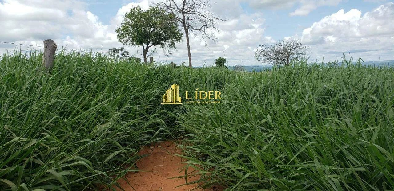 FAZENDA ÁREA RURAL RIO VERDE - MS - Foto 5