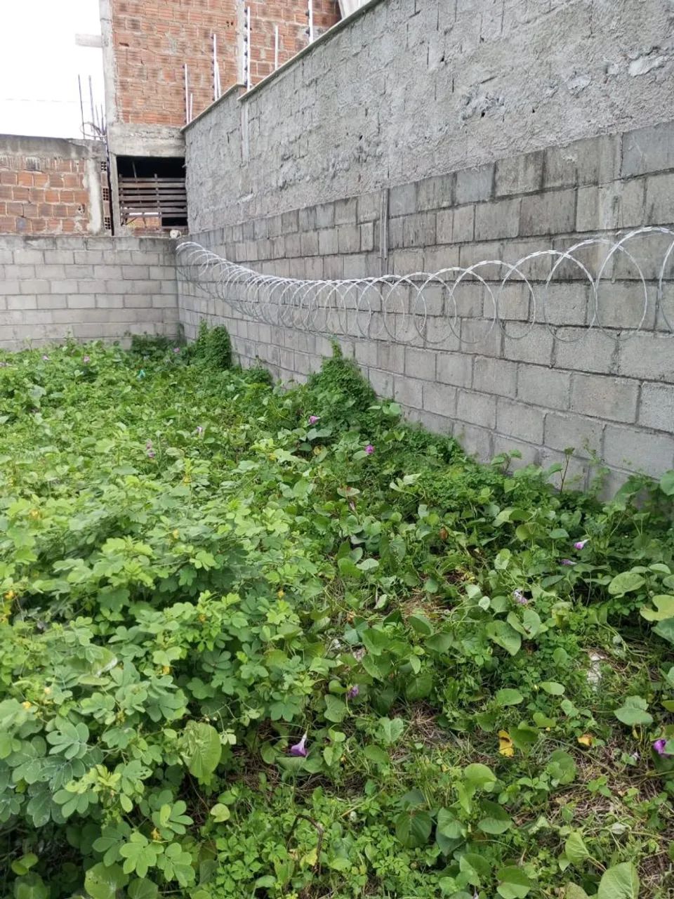 Concertina câmeras de segurança cerca elétrica  - Foto 3