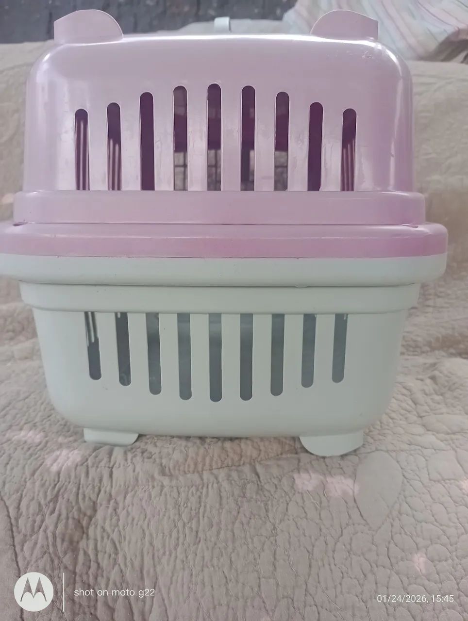 Caixa transporte de pet