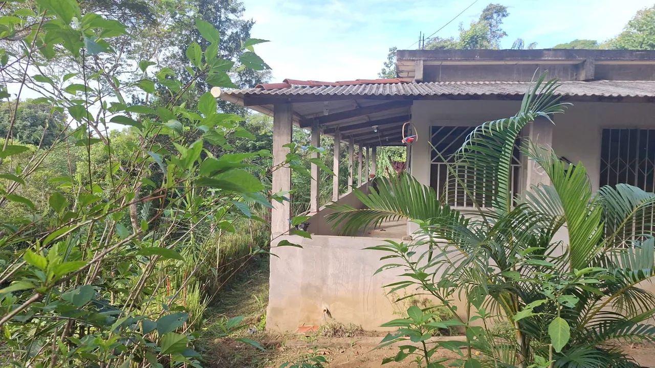 Sítio a venda - Couto - Foto 2