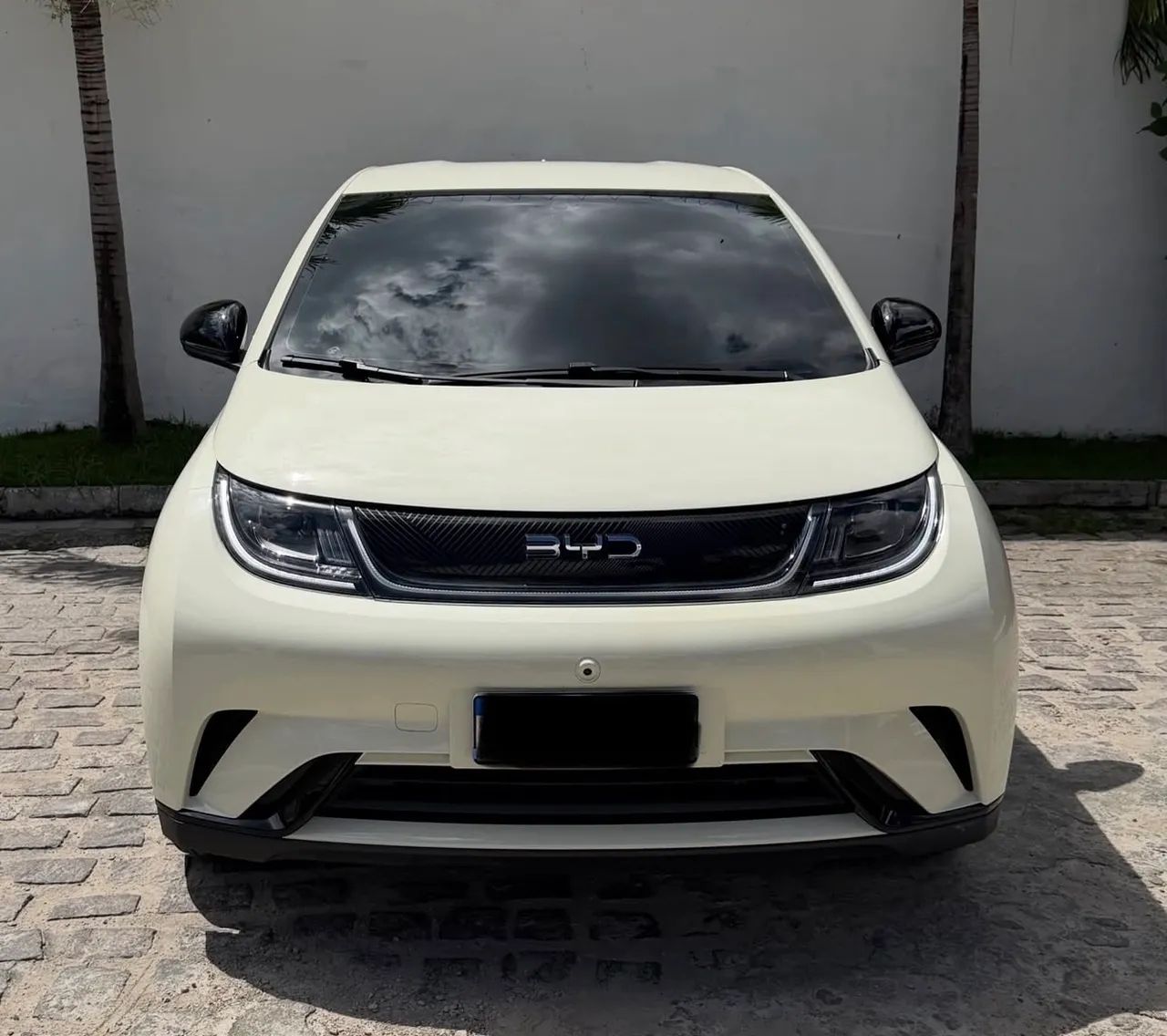 BYD Dolphin Mini GL 2025 - Foto 3