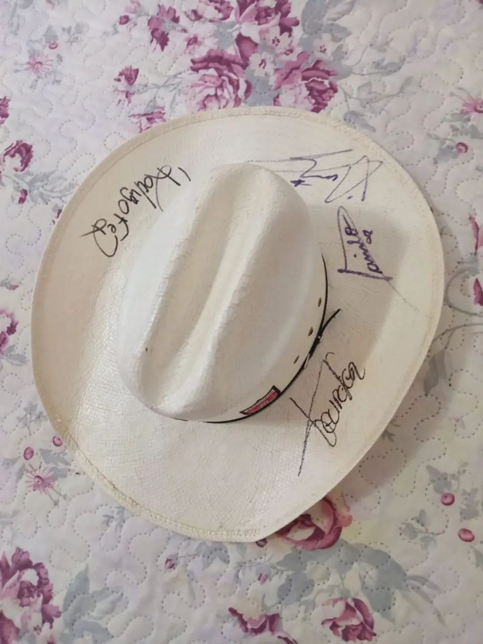 Vendo Chapéu autografado por cantores - Foto 4