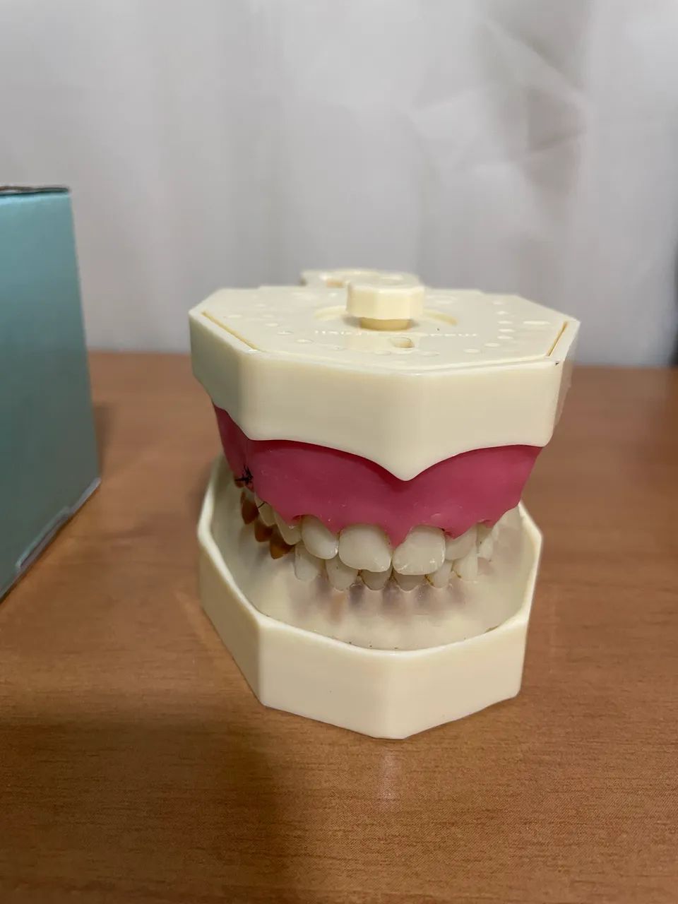 Manequim periodontia orais - Foto 5