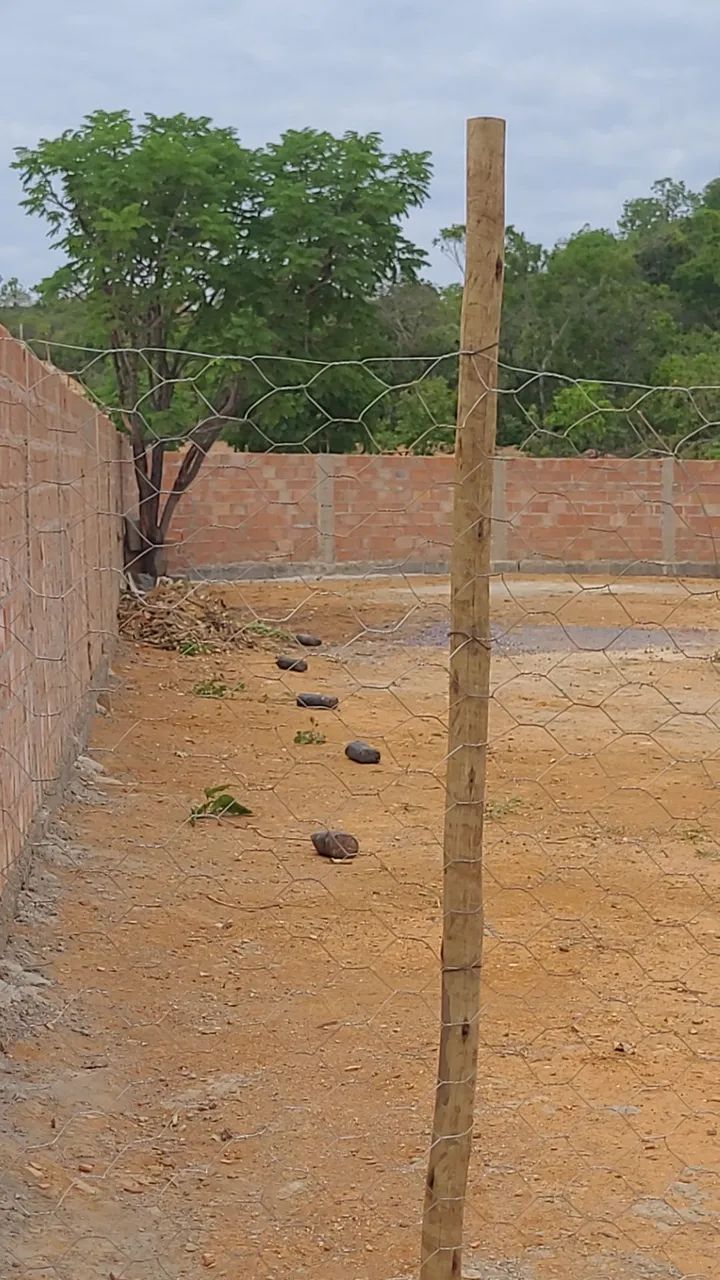 Lote  - Foto 5