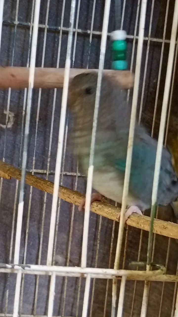 Vendo  - Foto 3