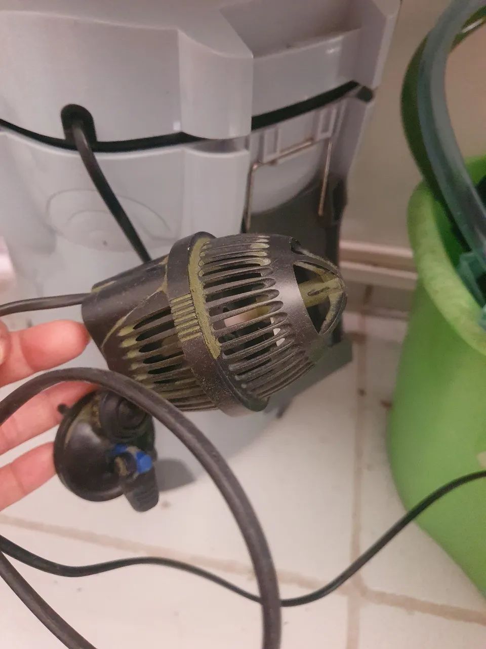 Aquário completo  - Foto 2