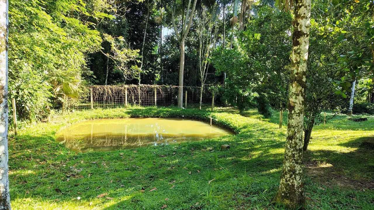 Chácara em Miracatu - 3.800m² com Lago, Riacho e Fácil Acesso - Foto 5