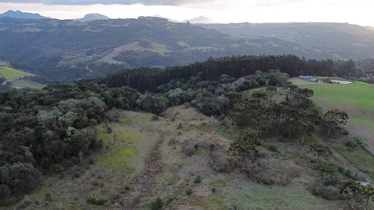 Terreno Alfredo Wagner, 2 hectares, 2 km do centro  - Foto 5