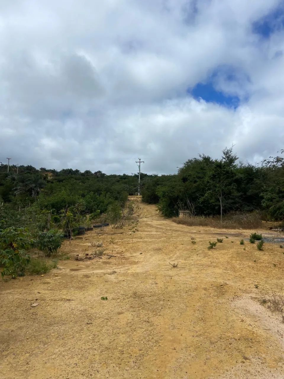 Sitio a venda - Foto 5