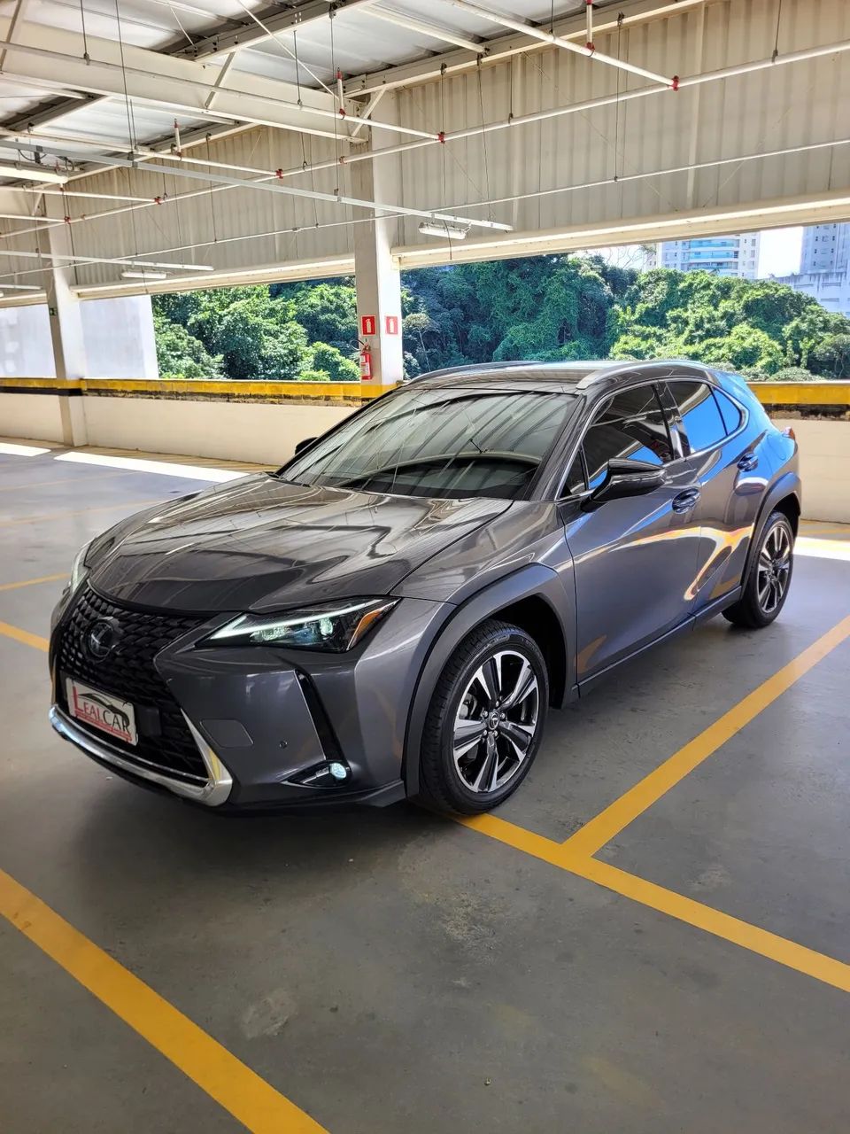 Lexus UX-250H Dynamic 2.0 16V Aut.(hybrid) 2024