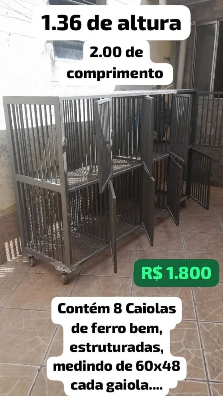 Gaiola de Ferro segura com 8 estações de canil  - Foto 2