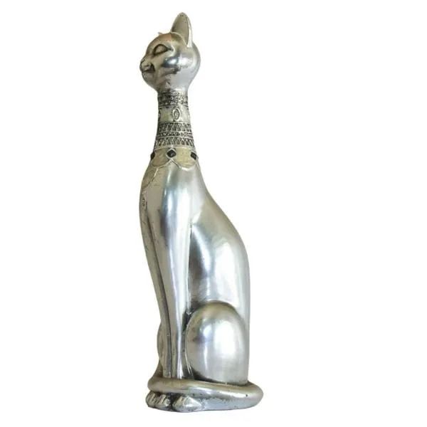 Gato Prateado - Foto 2