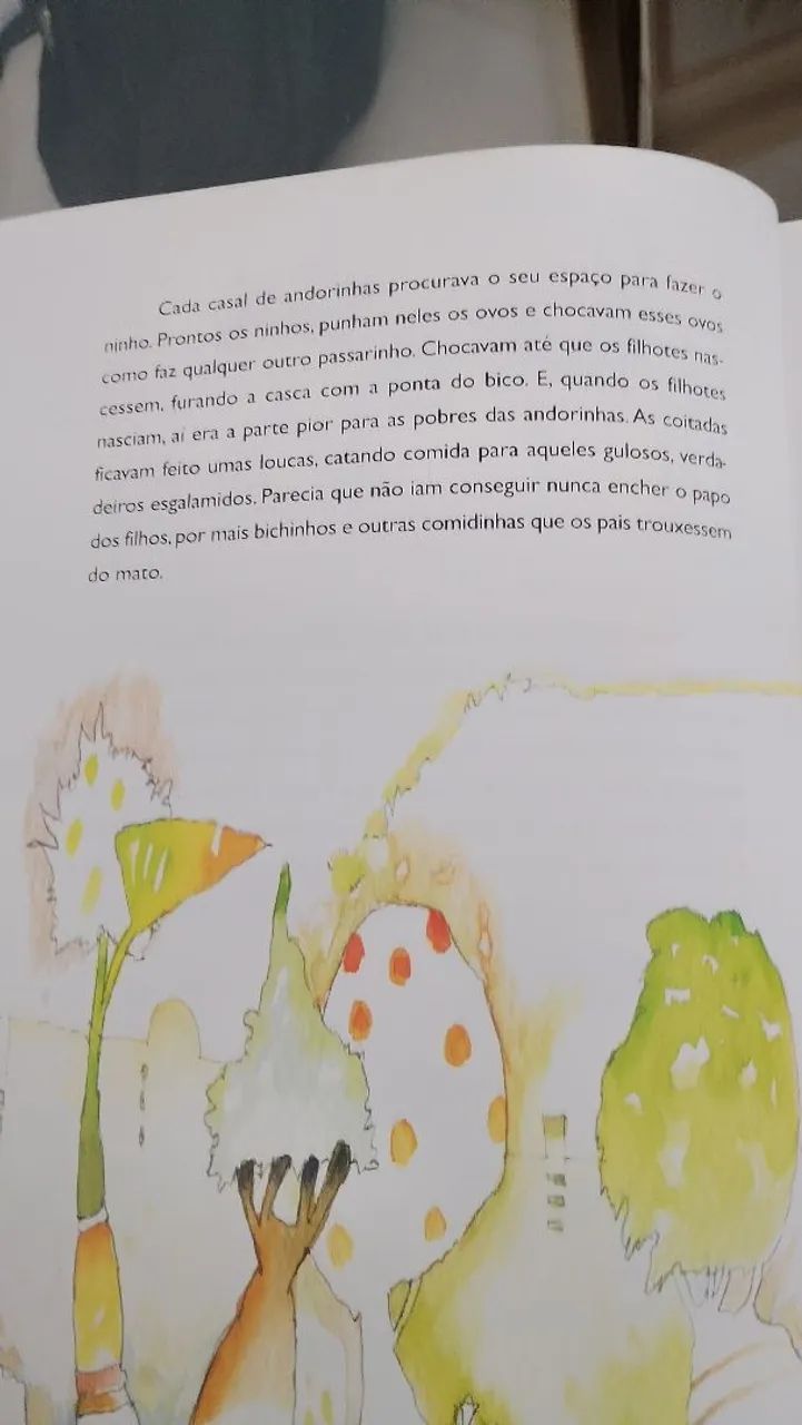 Livro Andira de Raquel de Queiroz  - Foto 4