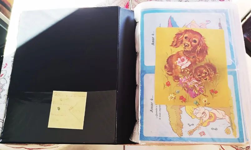 Pasta com 659 papéis de carta e cards