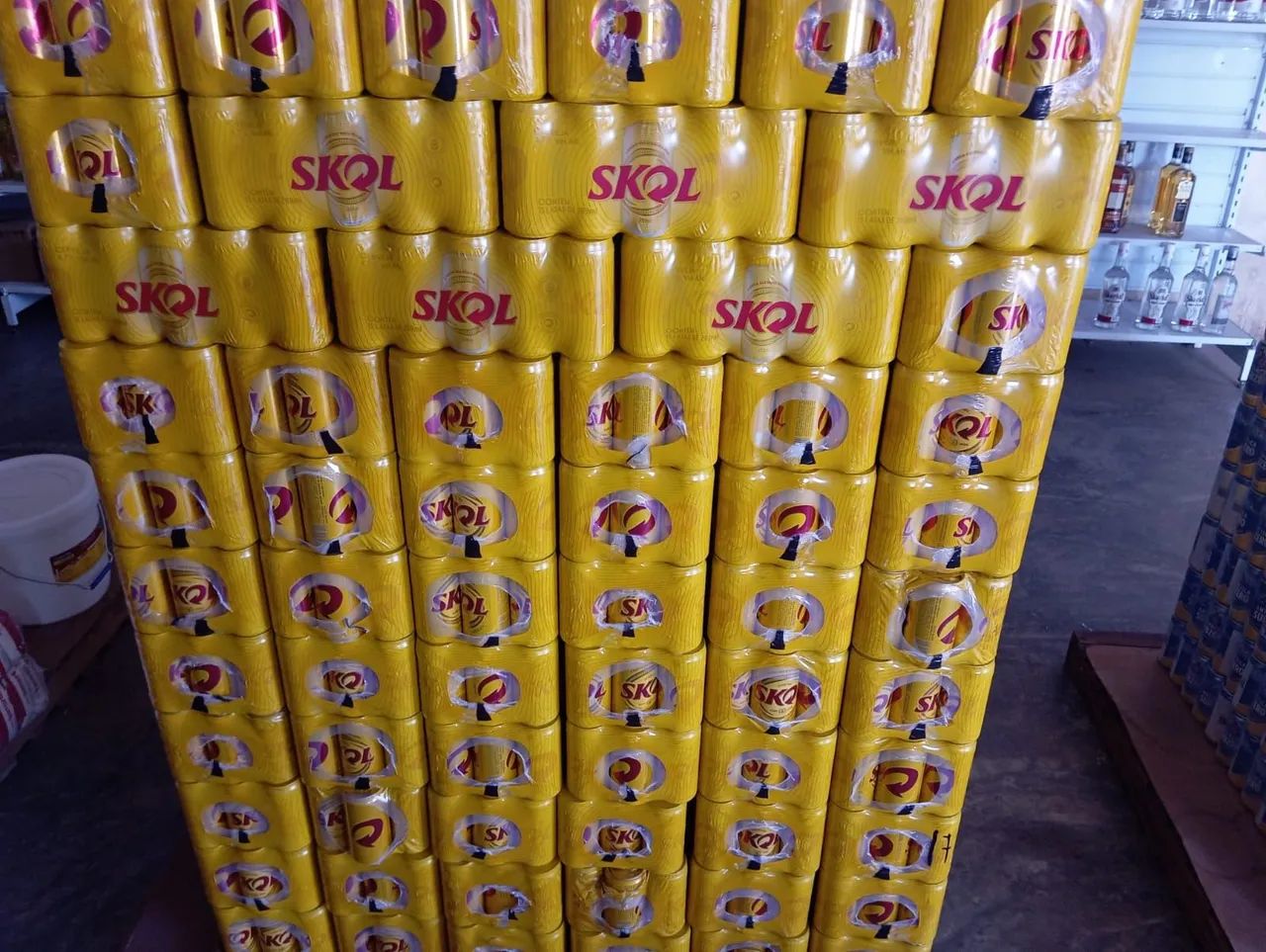 Cerveja Skol 42,00 cerveja sub zero 41,00