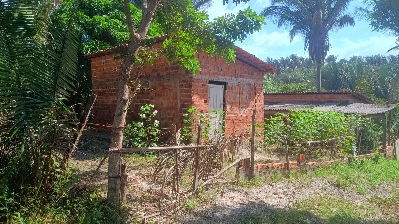 Vendo terreno/casa - Foto 2