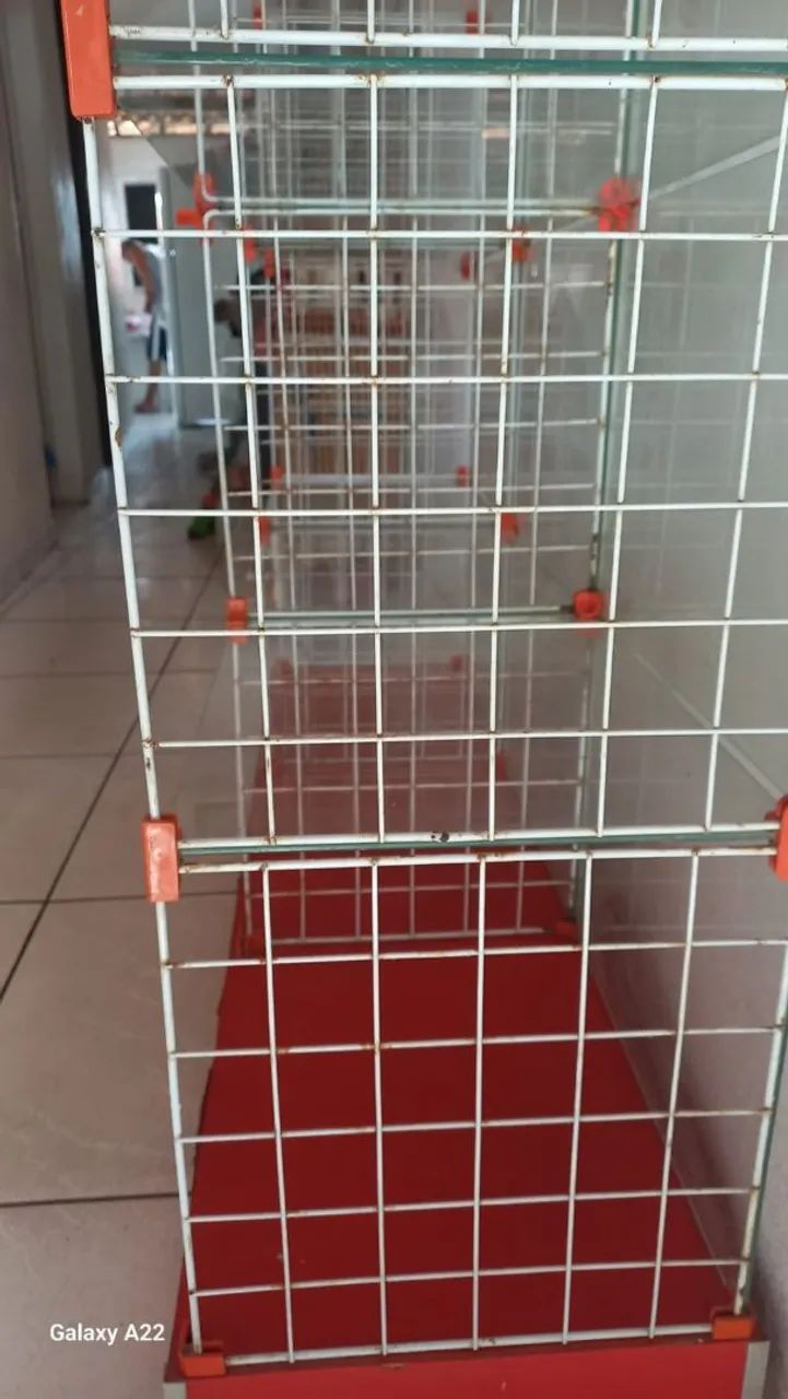 Vitrine expositora de vidro - Foto 2