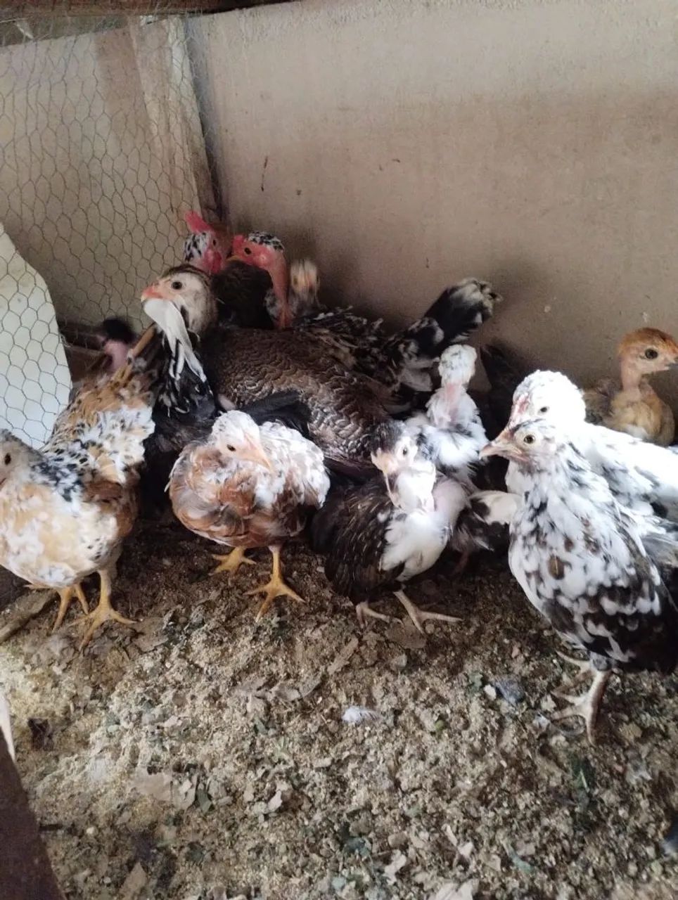 Mini garnizer  - Foto 2