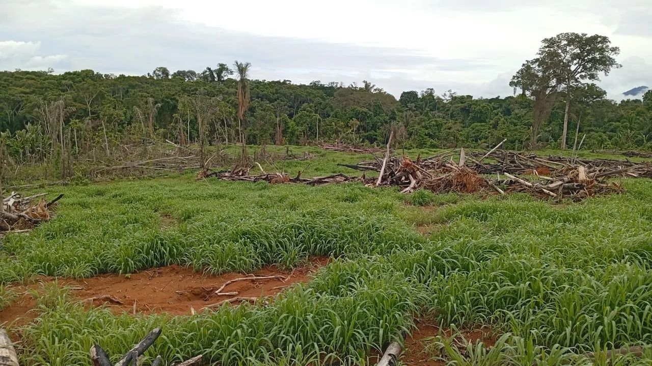 Área pra fazenda  - Foto 2