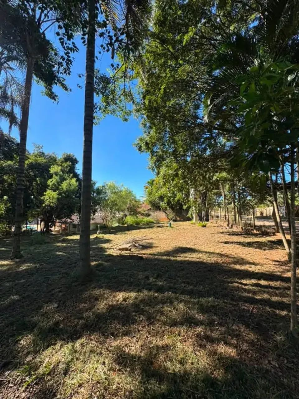 Chácara com piscina, no bairro Itapavussu, em Cosmópolis-SP. - Foto 4