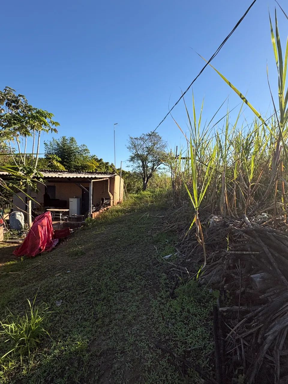 Vendo chácara - Foto 4