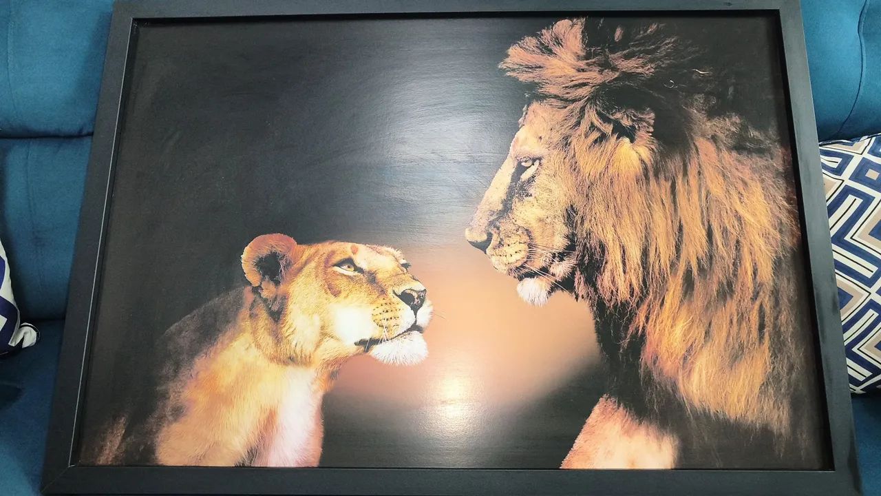 Quadro - Foto 2