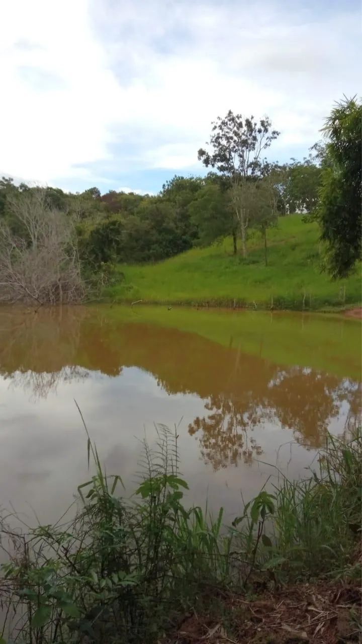 Fazenda em catalão pecuária 