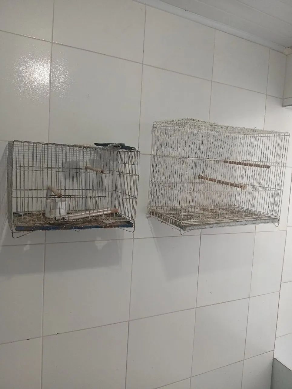 Gaiolas para agapornis - Foto 2