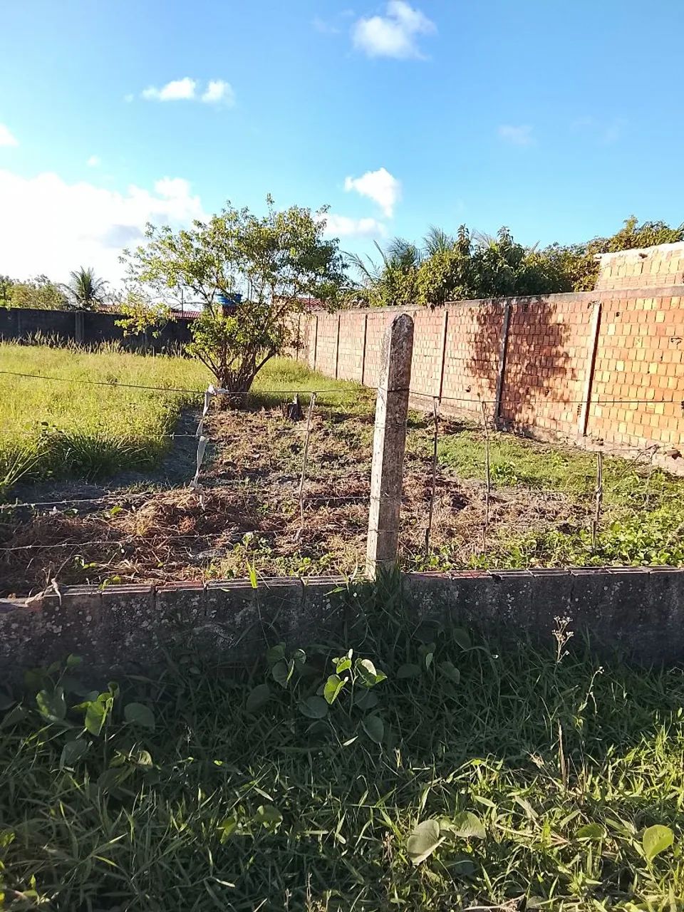 Terreno  - Foto 2