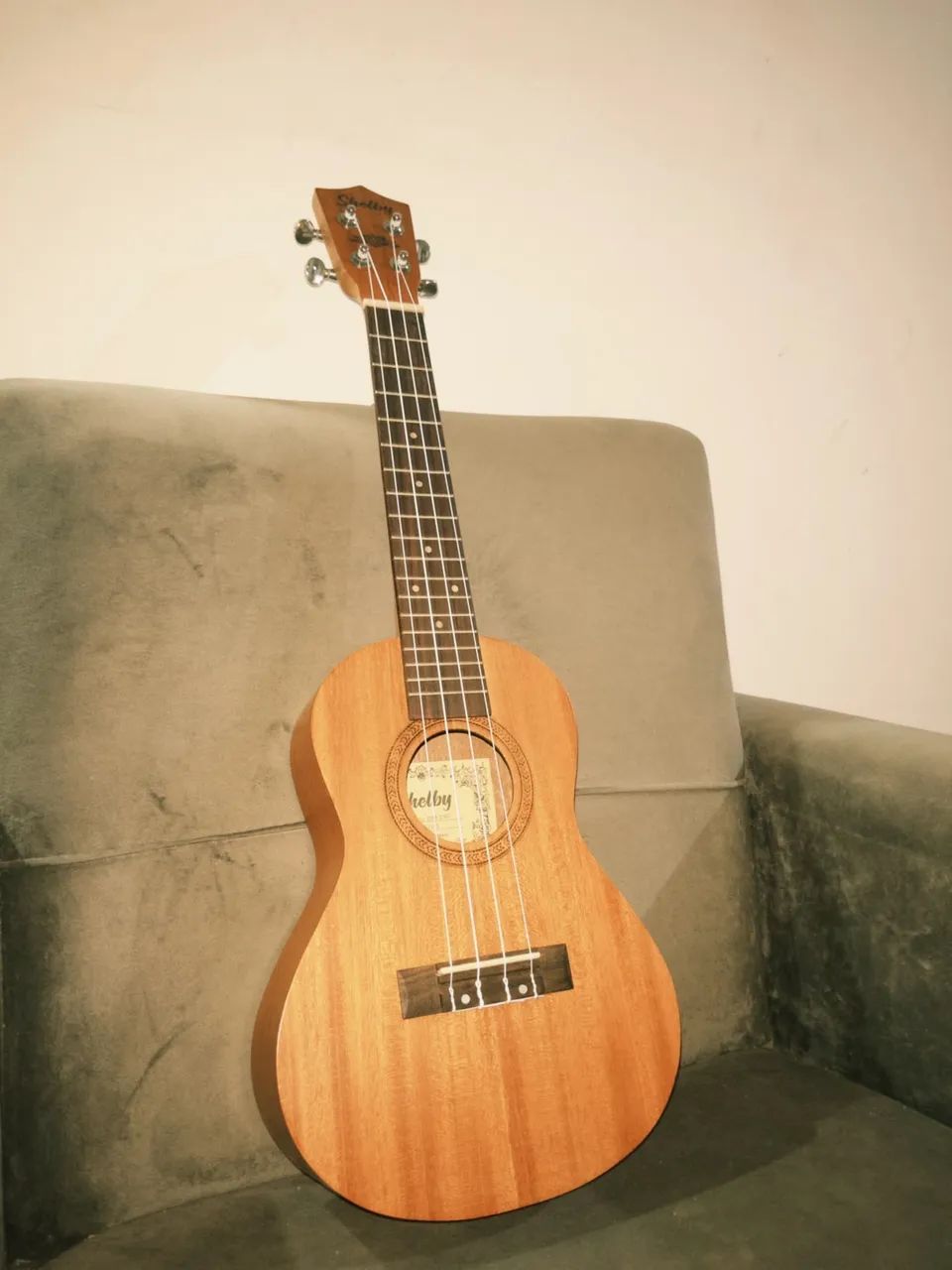 Ukulele Shelby 