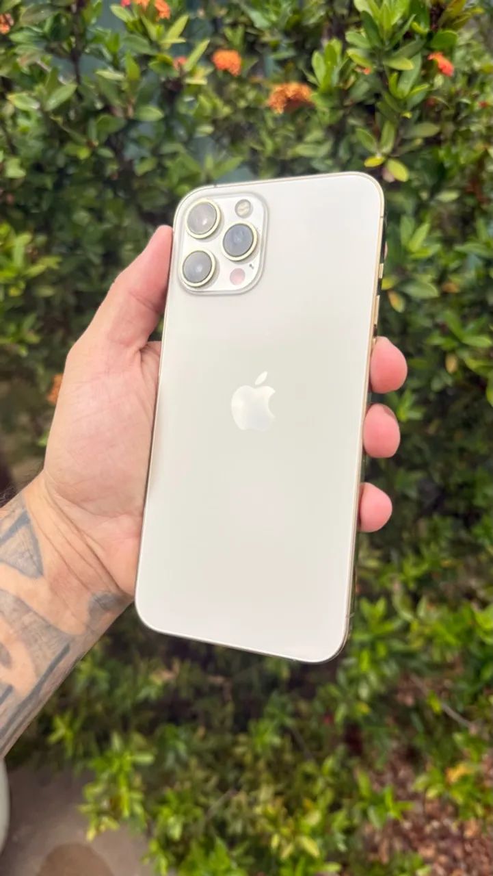 iPhone 12 ProMax 128Gb