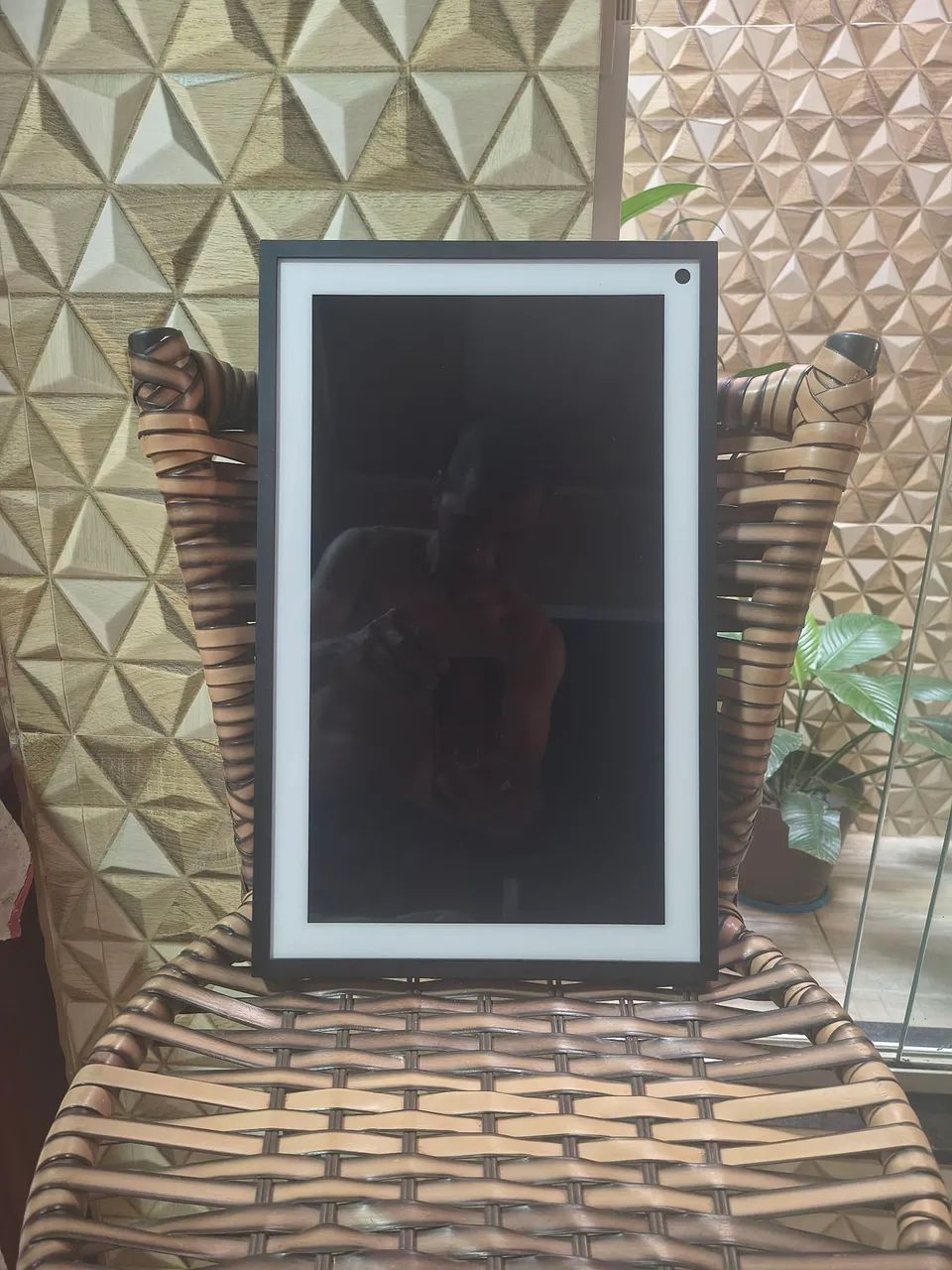 Eco show 15  - Foto 4