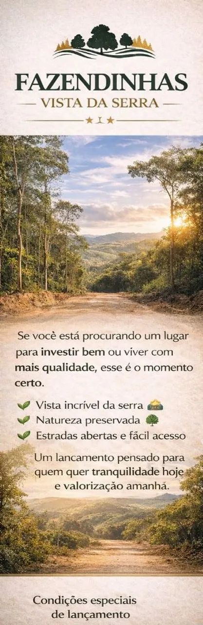 Terreno rural em florestal  - Foto 4