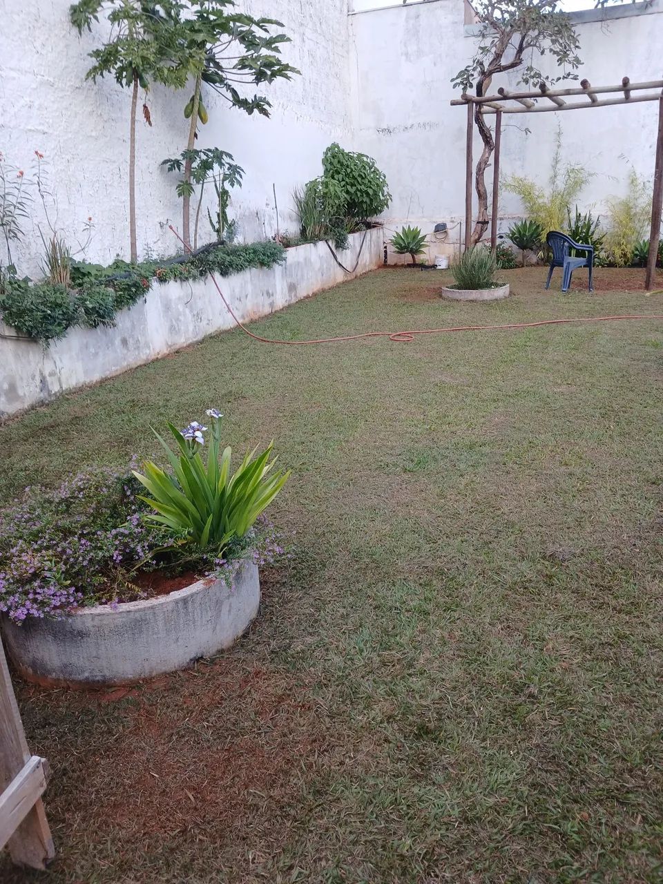 Jardineiro serviço diária e empreita.  - Foto 3