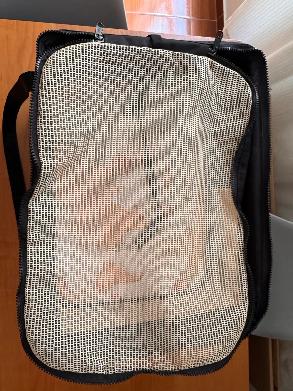 Bolsa de viagem pet - Foto 2