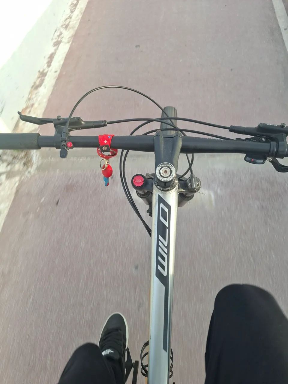 BIKE ARO 29 ABSOLUTE MTB