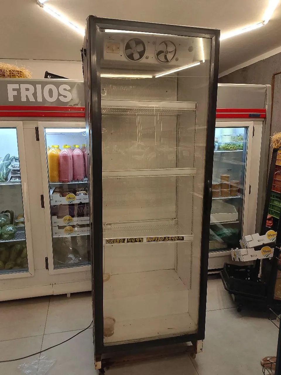Freezer vertical