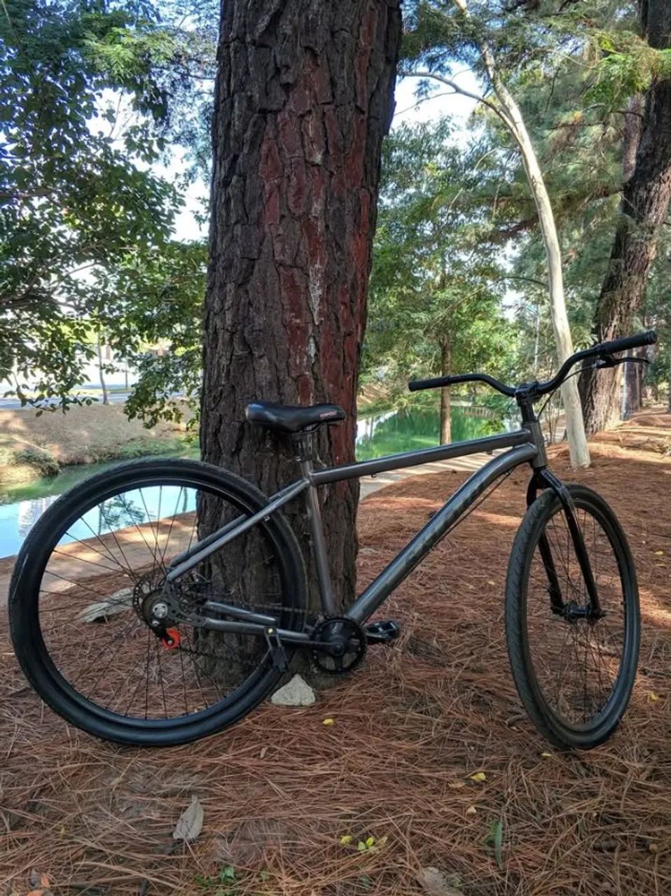 BIKE aro 29 single speed
