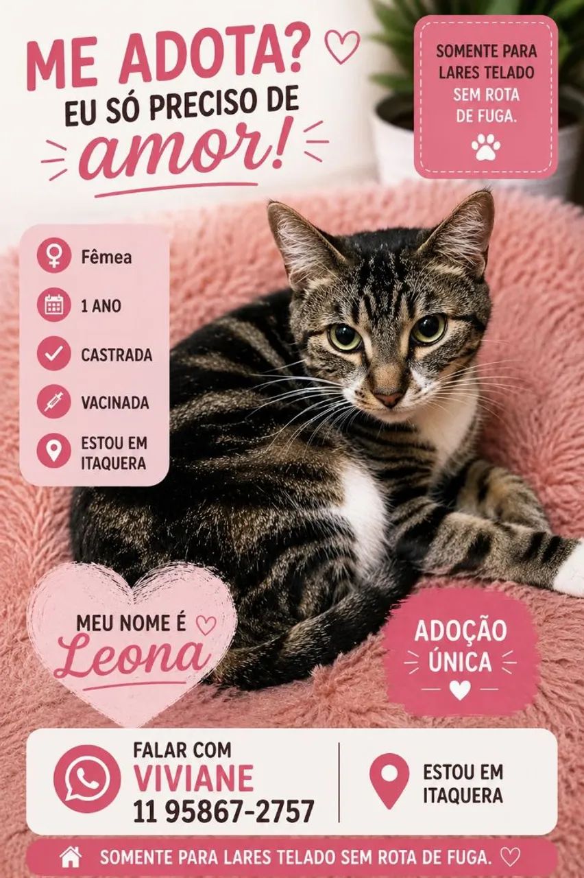 Gatinhos doação  - Foto 2
