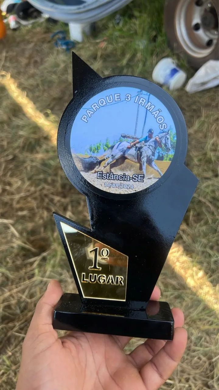 Vendo cavalo Quarto de Milha de vaquejada - Foto 6