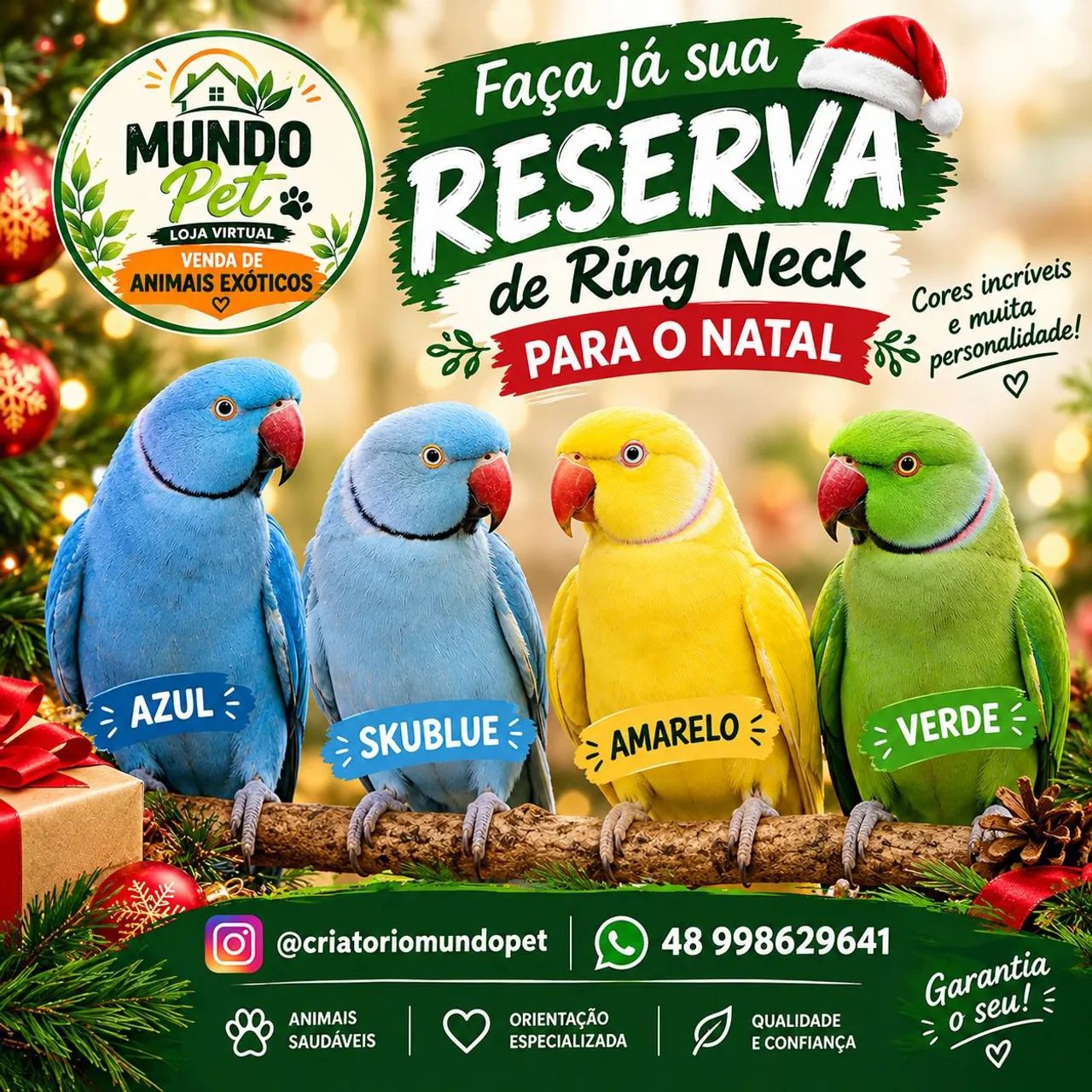 Reservas de natal ( pets)