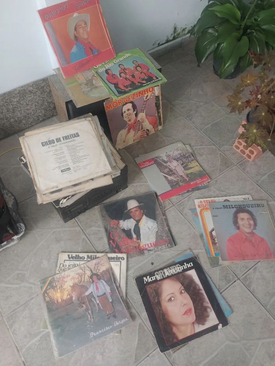 Discos Gauchesco 