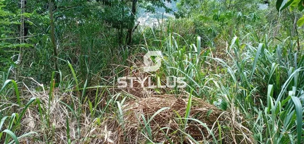 Praça Seca | Terreno - Foto 11