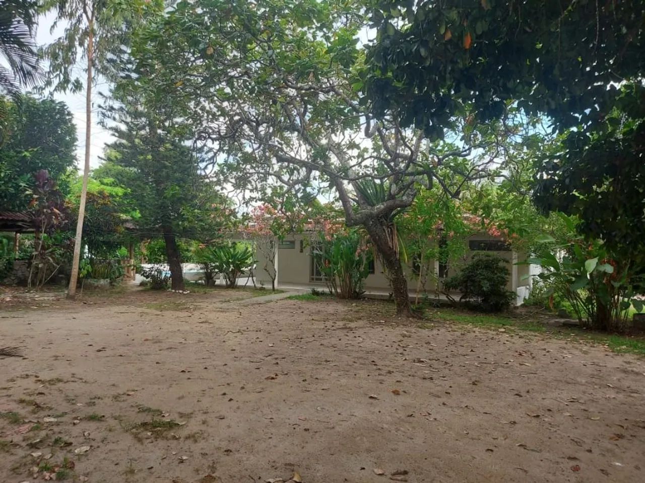 Chácara com 4 dormitórios à venda, 5000 m² por R$ 890.000,00 - Aldeia - Camaragibe/PE - Foto 7