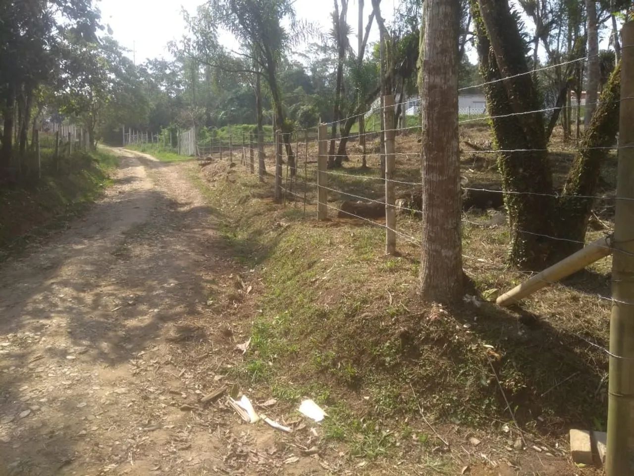 Foto - Mogi das Cruzes - Boa Vista