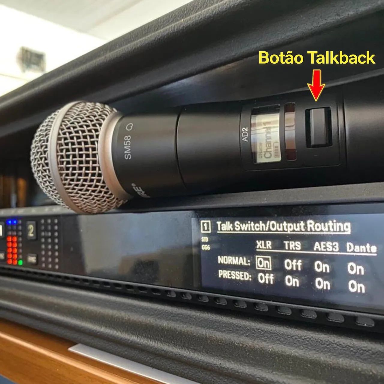 Microfone Shure Axient 2 bastões Talkback