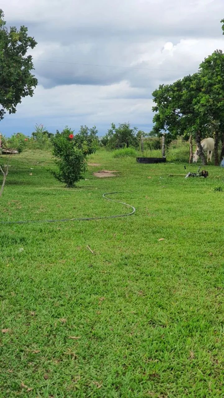 Vendo sítio aproximadamente 100 hectare 70km Cuiabá região manso. 