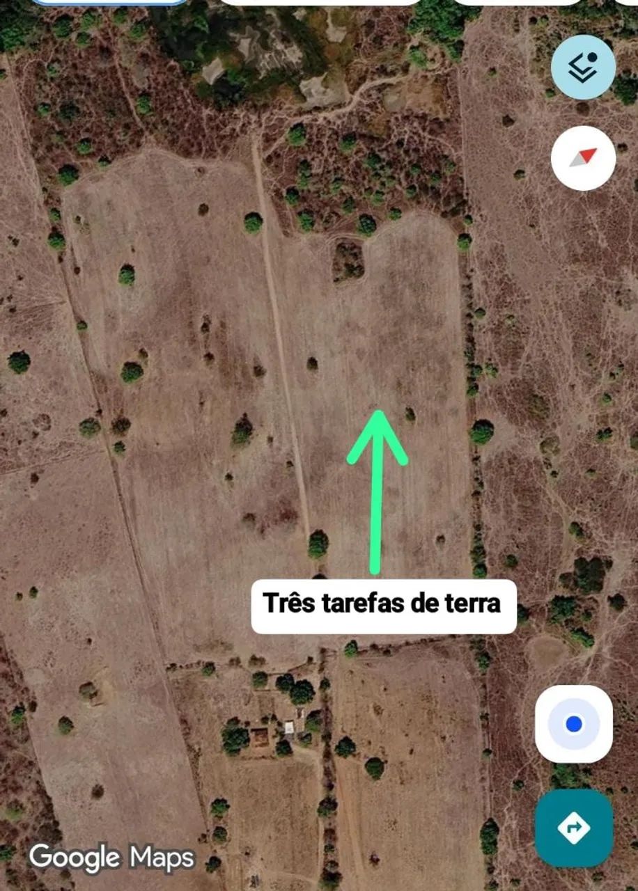 Terreno no sítio batinga palmeira dos índios  - Foto 4